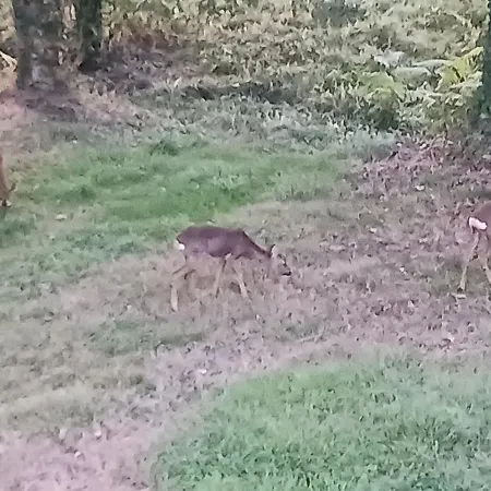 Bienvenue Chez Nous * Cardaillac